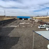 شرکت قالیشویی نیاوران|خدمات نظافت|زنجان, |دیوار