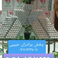 بنکداری و پخش تخم مرغ در گیلان|خوردنی و آشامیدنی|لنگرود, |دیوار