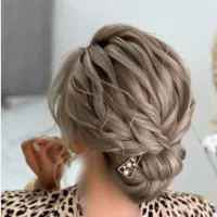 اموزش صفرتا صد شنیون