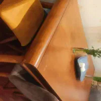 میز نهارخوری|میز و صندلی غذاخوری|اهواز, زیتون کارمندی|دیوار