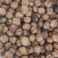 گردو|عمدهفروشی|ربط, |دیوار