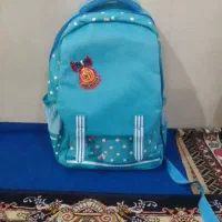 کیف|کیف، کفش، کمربند|نسیم‌شهر, |دیوار
