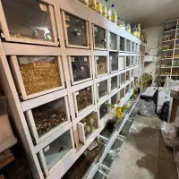 دکور ام دی اف