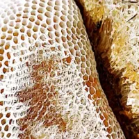 عسل کوهی خالص|خوردنی و آشامیدنی|اهر, |دیوار