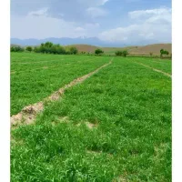 زمین ۱۲ هکتاری با چاه آب یکصد متری