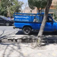 داربست‌ مسعود