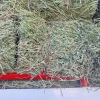 یونجه چین دو سه انباری|عمده‌فروشی|آوج, |دیوار