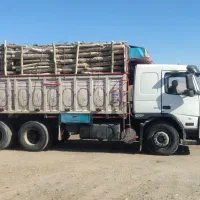 خریدچوب|خدمات باغبانی و درختکاری|کامیاران, |دیوار