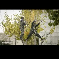 خدمات باغبانی هرس کاری بیل زنی شمشاد زنی  همنو