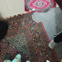 سوسنگرد|فرش|سوسنگرد, |دیوار