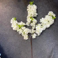 فروش انواع دیوار سبز و گل مصنوعی به قیمت تولیدی|گل مصنوعی|تهران, صادقیه|دیوار