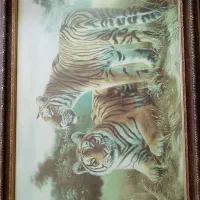 لوازم جهت فروش یا معاوضه