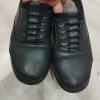 کفش مردانه (یک جفت اسپورت و یک جفت راحتی)|کیف، کفش، کمربند|خوی, |دیوار