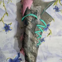 ادیداس پریدیتور