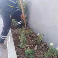 کلیه امورات باغبانی|خدمات باغبانی و درختکاری|شیراز, لشکری‎|دیوار