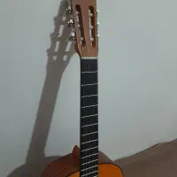 گیتار|گیتار، بیس، امپلیفایر|رشت, استقامت ۲|دیوار