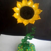 گل همیشه زیبا