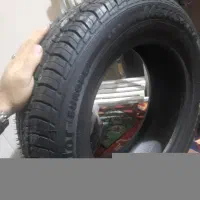 لاستیک ساینا