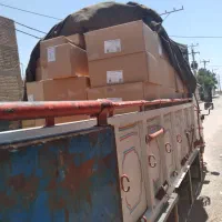 کاسه و بشقاب چینی زرین|ظروف سرو و پذیرایی|اهواز, کوی فرهنگیان ۱|دیوار