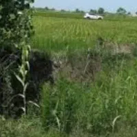 واگذاری زمین زراعی ب اجاره