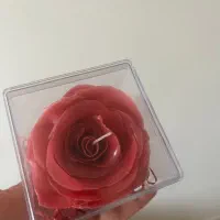 باکس شمع رز جاودان ولنتاین|صنایع دستی و سایر لوازم تزئینی|تهران, سردارجنگل|دیوار