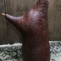 نی انبان
