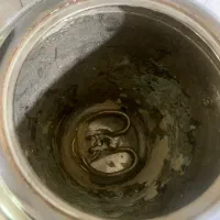 سماوربرقی تابان