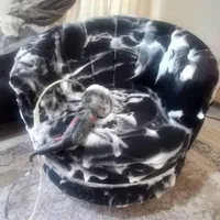 مبل شویی. مبلشویی.قالیشویی در منزل