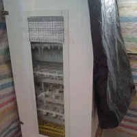 یه عدد دستگاه جوجه کشی ساوالان به فروش میرسد|لوازم جانبی حیوانات|اردبیل, |دیوار