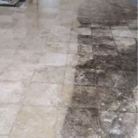 خدمات نماشویی پیچ رولپلاک شستشوی نما کفسابی راپل|خدمات نظافت|کرج, دهقان ویلا|دیوار