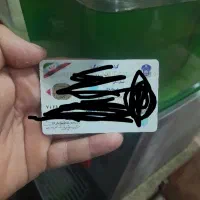 گواهینمامه پیدا شده
