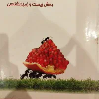 کتاب زیست علامه و مبتکران عربی کمک درسی پایه نهم|کتاب و مجله آموزشی|قم, صفاشهر|دیوار