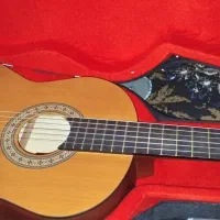 گیتار مارک پارسی m2