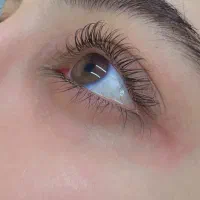کاشت موقت و دائم مژه لیفت ابرو ومژه هزینه متریال|خدمات زیبایی و سلامت|تهران, دروازه شمیران|دیوار
