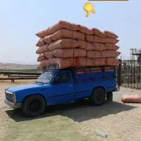 کارگر یونجه گیر