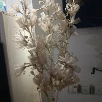 گلهای طلایی|گل مصنوعی|مسجد سلیمان, |دیوار