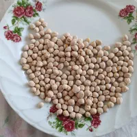 نخود  محلی نو