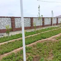 نمای سیمانی طرح سنگ وچوب باغ، باغچه، خانه