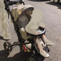 کالسکه و کریر و روروئک