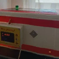 دستگاه جوجه کشی