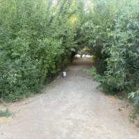 فروش باغ ویلا بزنجان