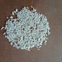 برنج هاشمی درجه یک گیلان|خوردنی و آشامیدنی|سنگر, |دیوار