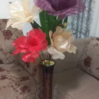 گل های بزرگ زینتی مخصوص مجالس و خانه