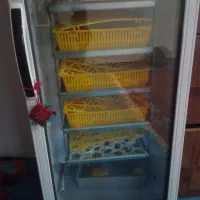 دستگاه جوجه کشی بلدرچین دماوند