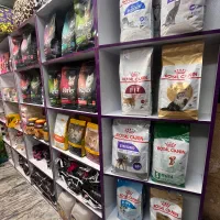 پت شاپ حیوانات خانگی