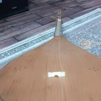 دوتار خراسانی درخت توت