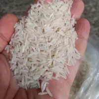 برنج خوش پخت (طارم و فجر )|خوردنی و آشامیدنی|شاهرود, |دیوار