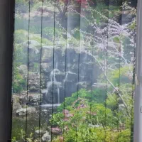 پرده اشپز خانه