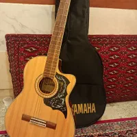 گیتار سانتانا.سایز۳۹