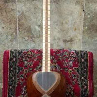 تار همراه با کیف ساخته موسی ابراهیمی